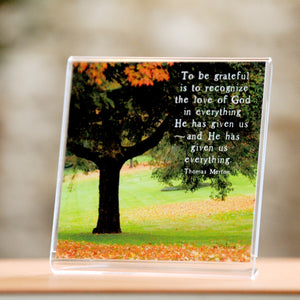 Autumn Grove- Framed Mini Print