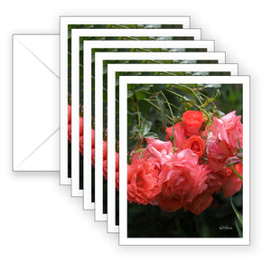 Coral Cascade Boxed Notecard Collection