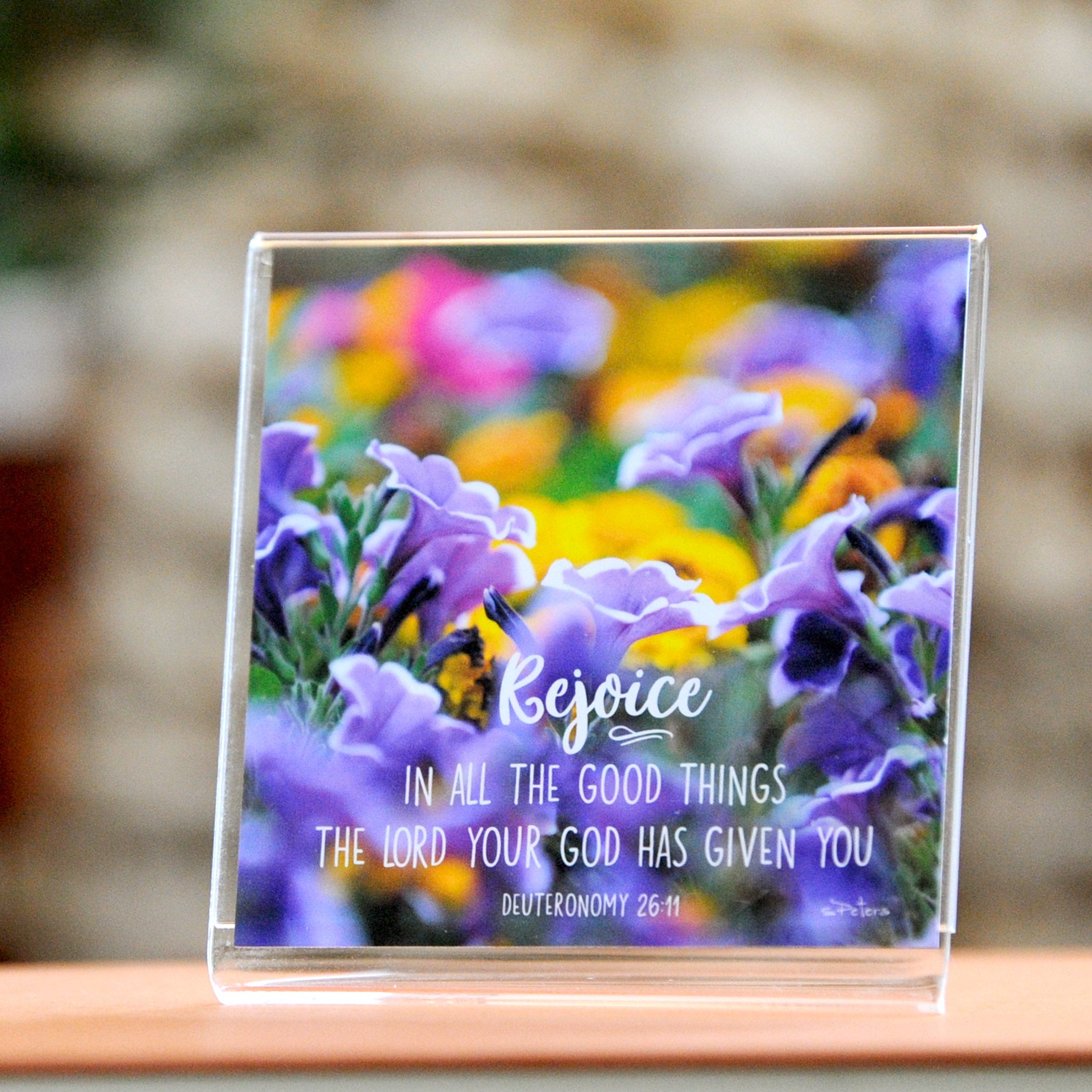Gilpin Park Petunias (Deu 26:11) - Framed Mini Print