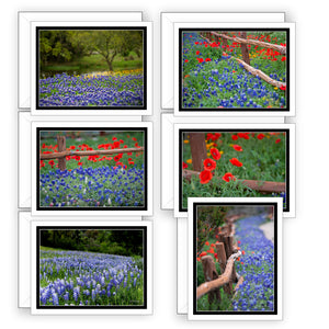 God Blessed Texas Boxed Set