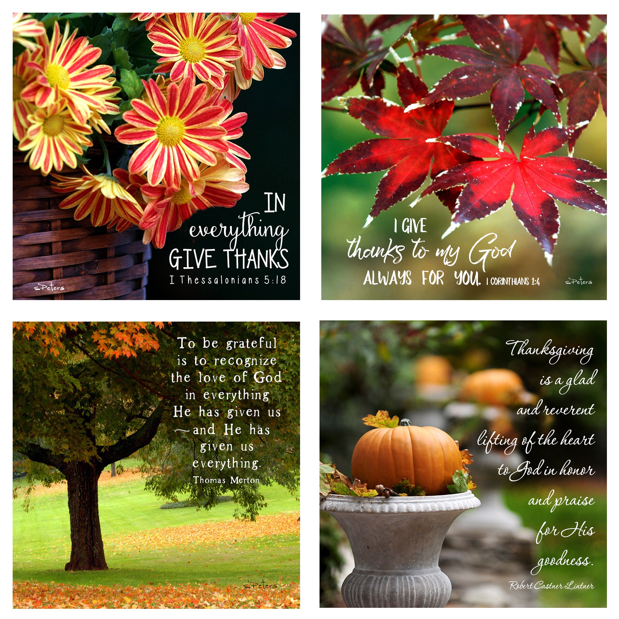 31 Days of Gratitude Boxed Mini Print Collection w Acrylic Holder