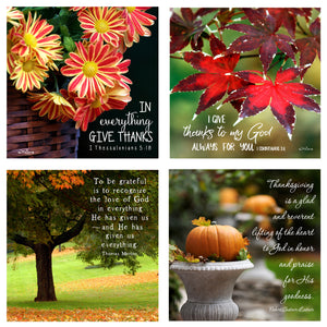 31 Days of Gratitude Boxed Mini Print Collection w Acrylic Holder