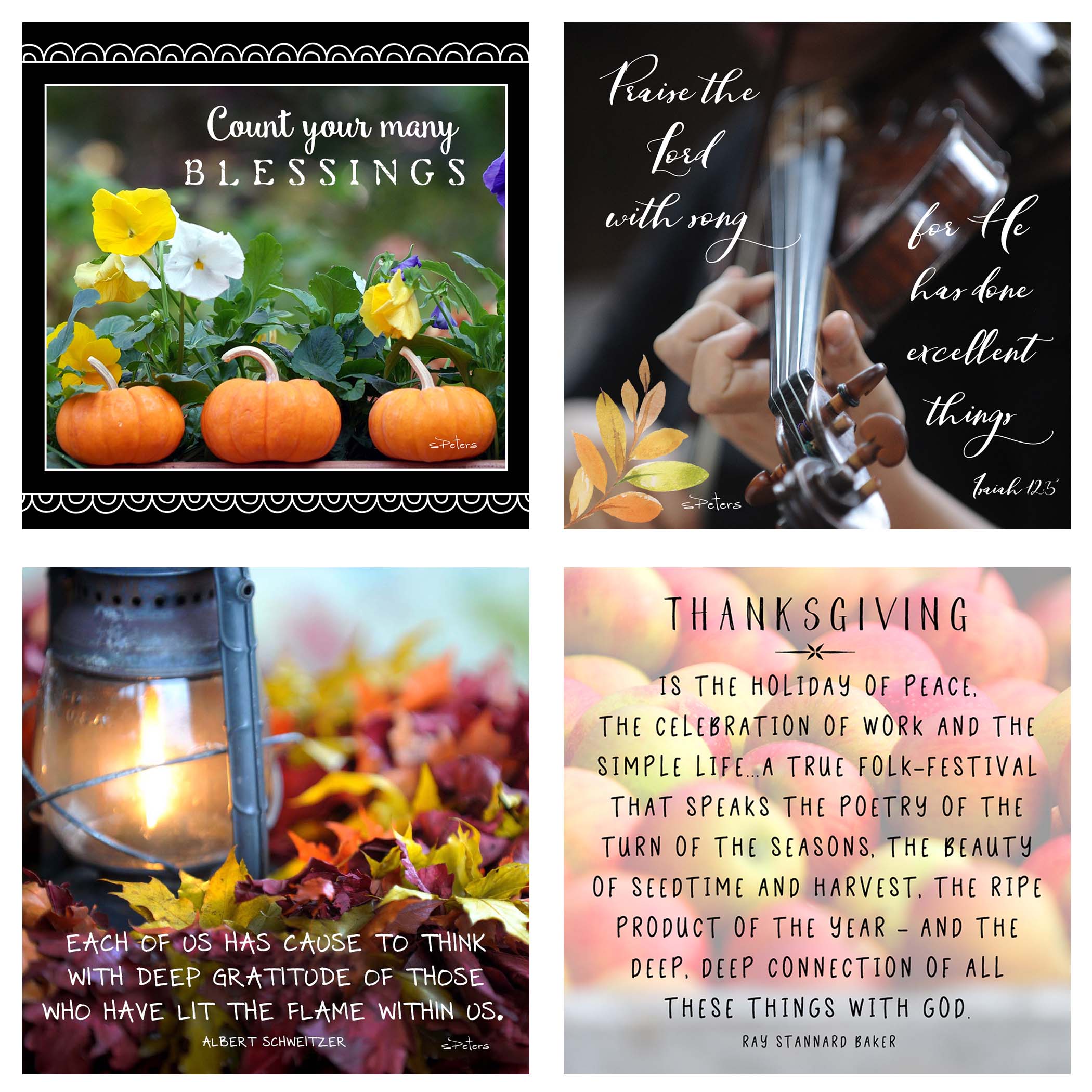 31 Days of Gratitude Boxed Mini Print Collection w Acrylic Holder