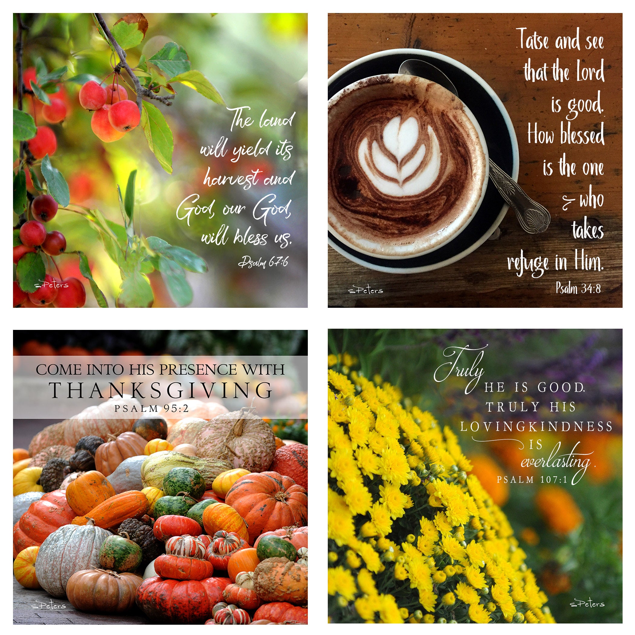 31 Days of Gratitude Boxed Mini Print Collection w Acrylic Holder