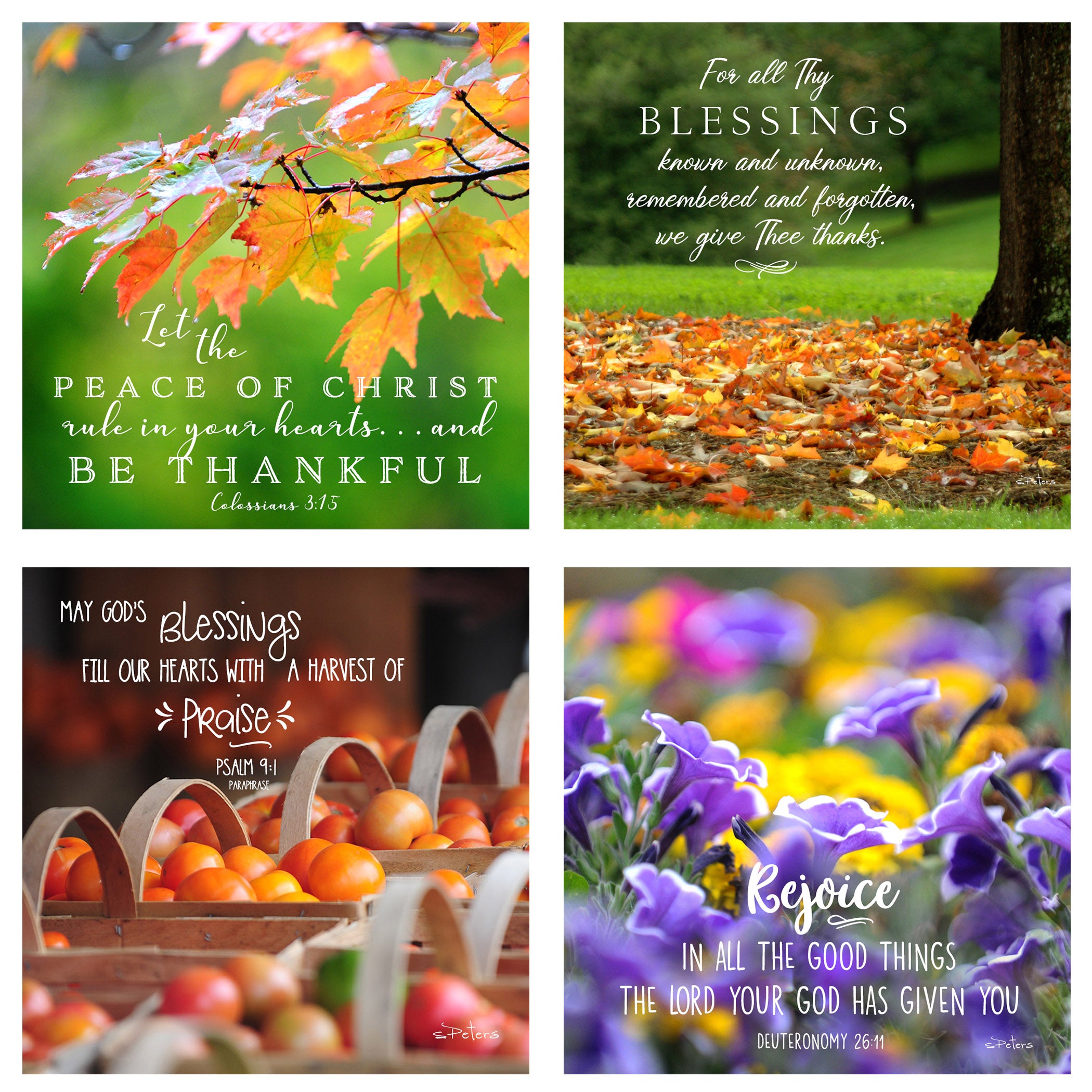31 Days of Gratitude Boxed Mini Print Collection w Acrylic Holder
