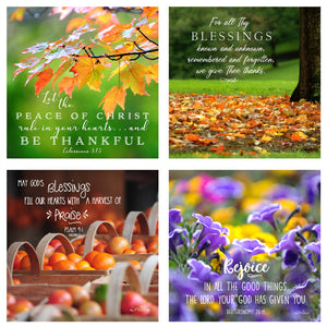 31 Days of Gratitude Boxed Mini Print Collection w Acrylic Holder