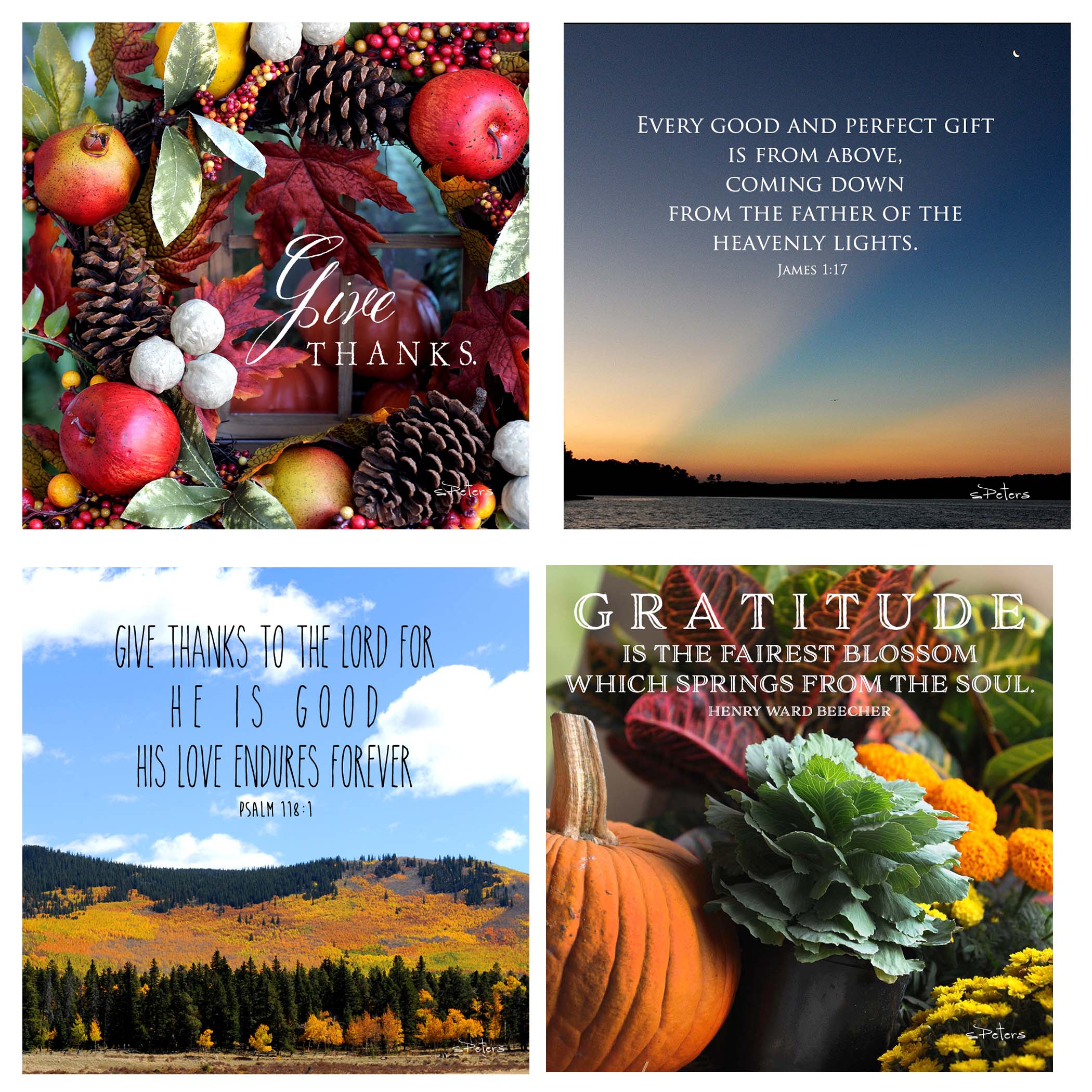 31 Days of Gratitude Boxed Mini Print Collection w Acrylic Holder