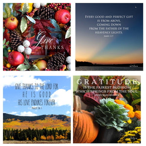 31 Days of Gratitude Boxed Mini Print Collection w Acrylic Holder