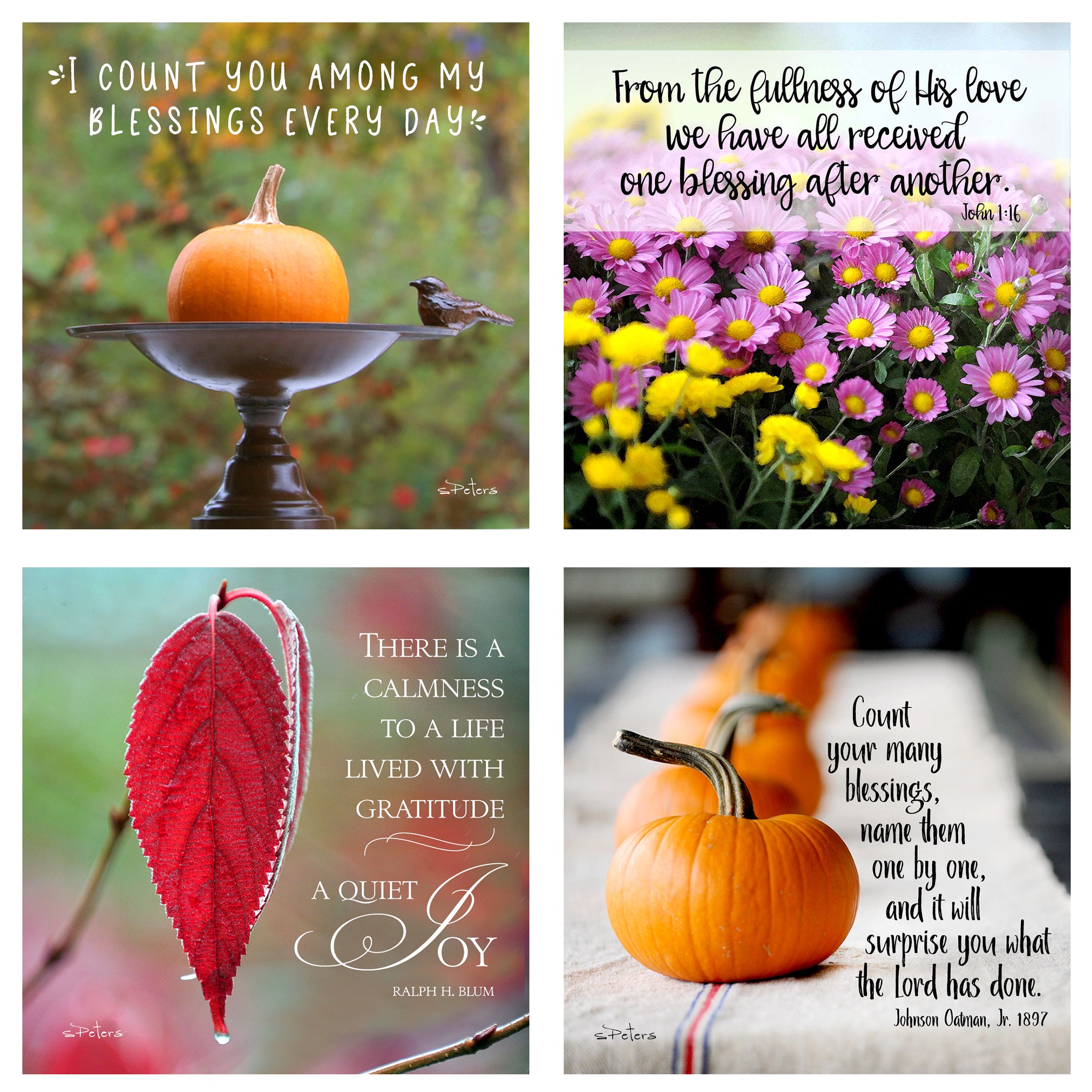 31 Days of Gratitude Boxed Mini Print Collection w Acrylic Holder