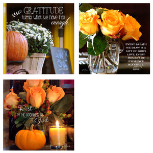 31 Days of Gratitude Boxed Mini Print Collection w Acrylic Holder
