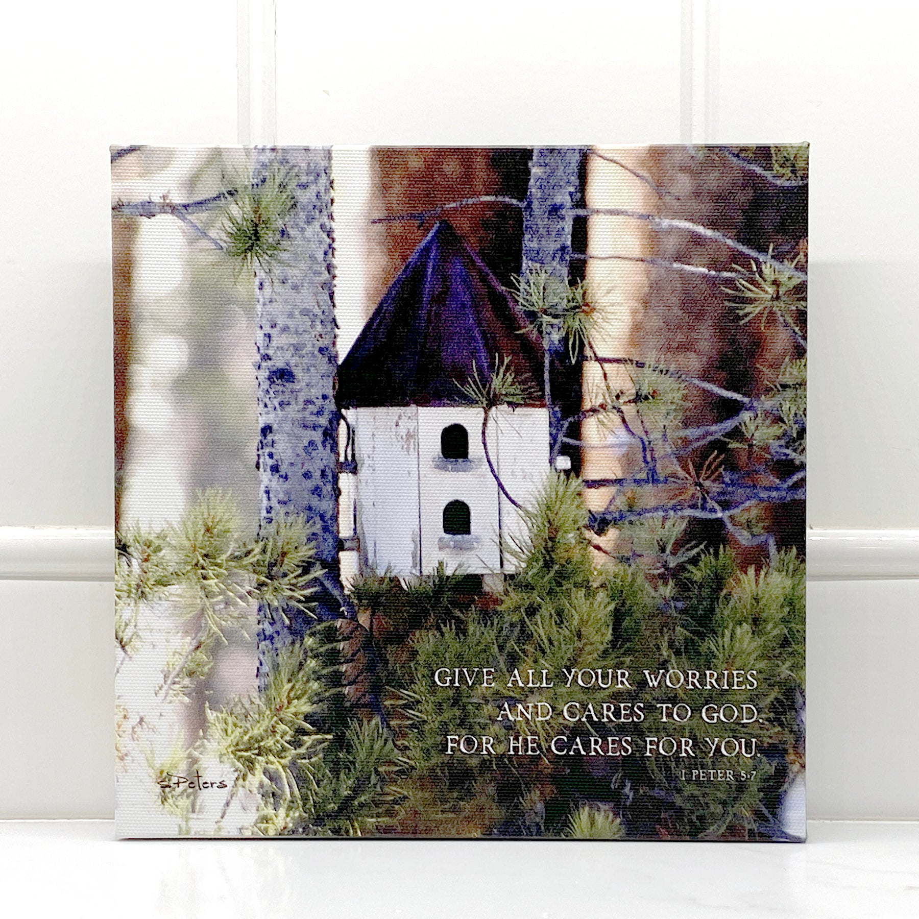 Breckenridge Birdhouse - 8x8 Canvas Print