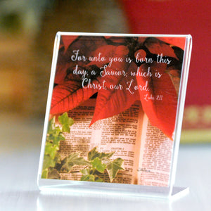 Luke 2 (Luke 2:11) - Framed Mini Print