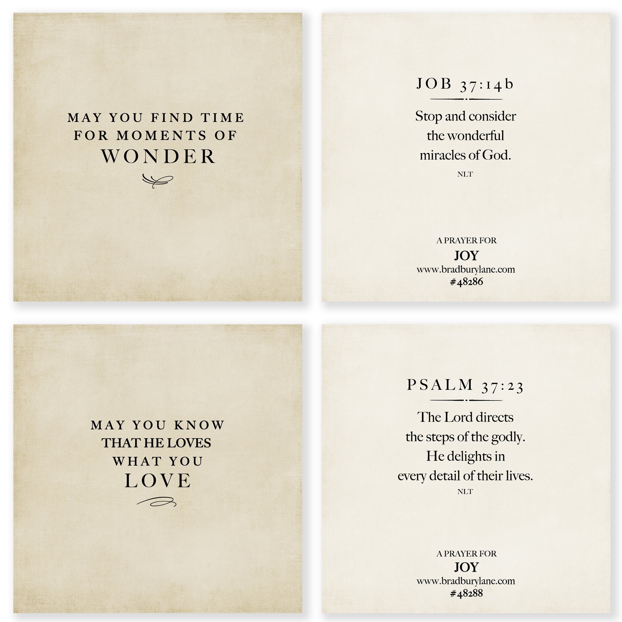 31 Days of Prayers for You Boxed Mini Print Collection (Version 2)