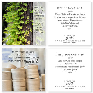 31 Days of Prayers for You Boxed Mini Print Collection w Acrylic Holder