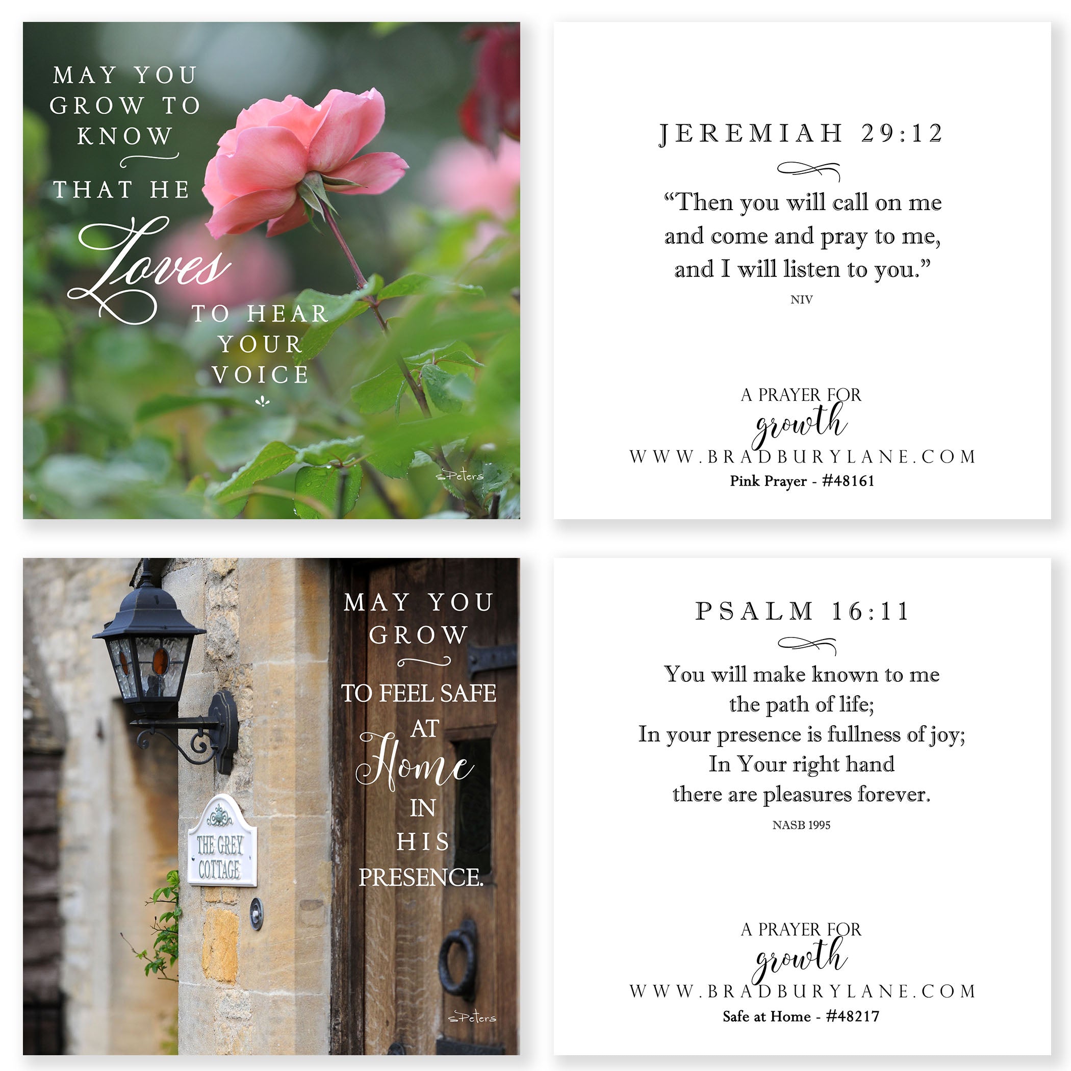 31 Days of Prayers for You Boxed Mini Print Collection w Acrylic Holder
