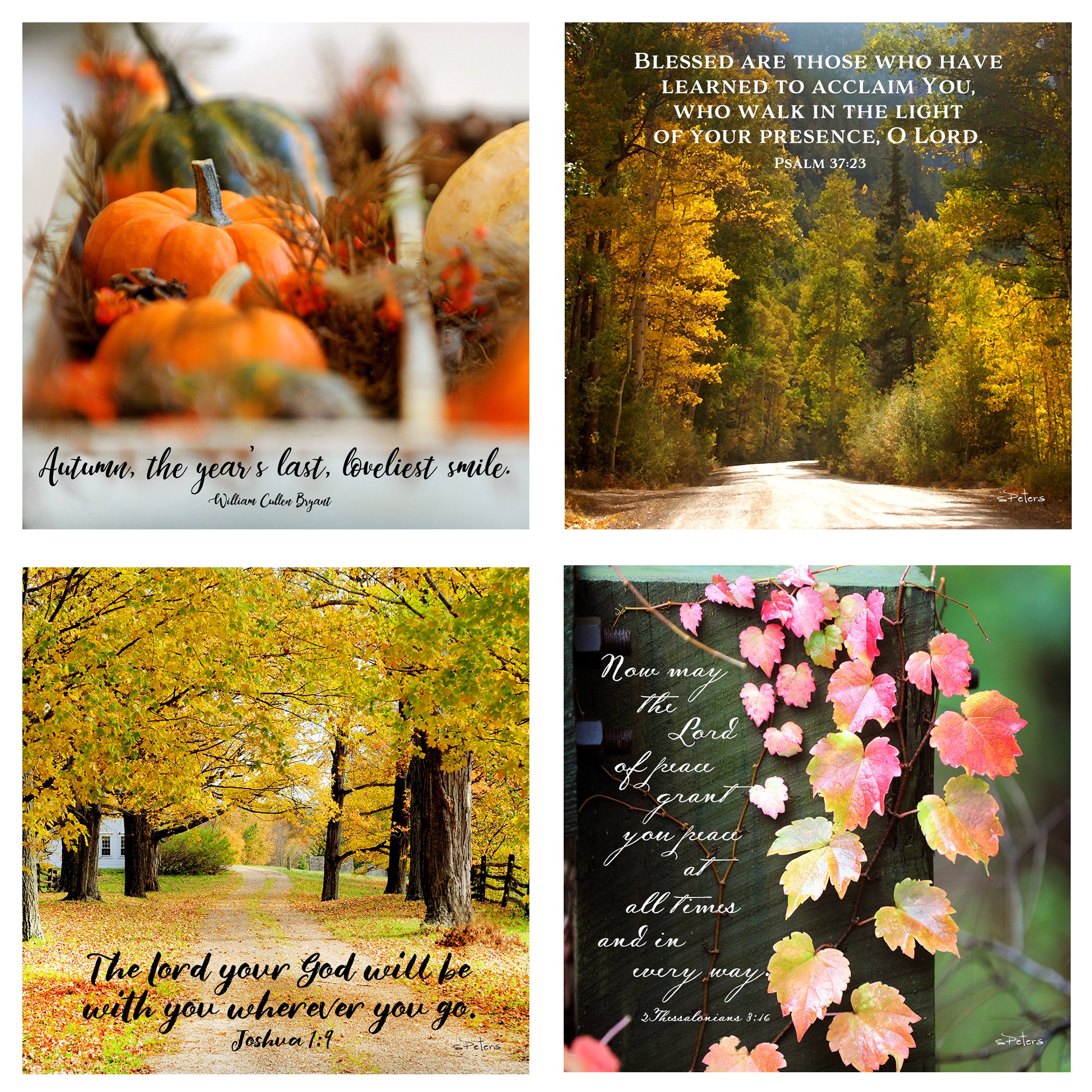 31 Days in October Boxed Mini Print Collection w Acrylic Holder