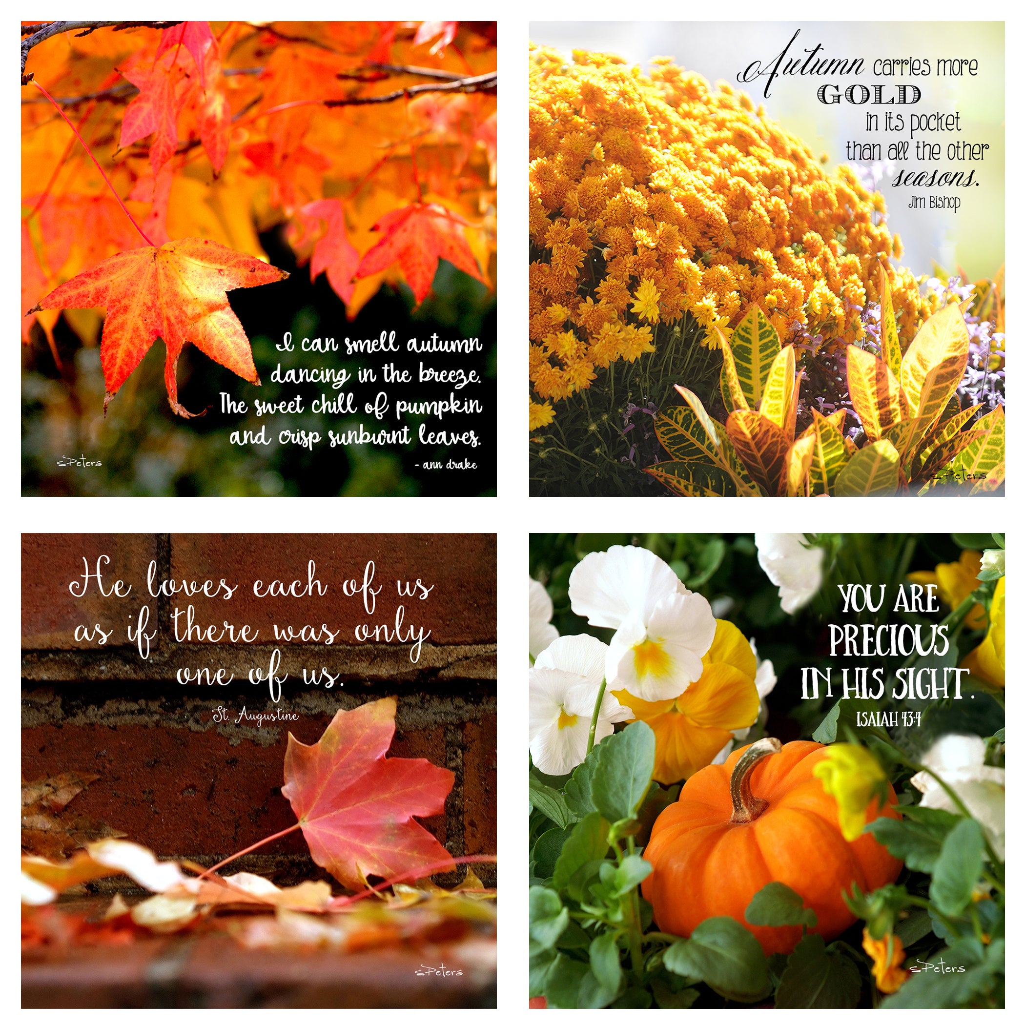 31 Days in October Boxed Mini Print Collection w Acrylic Holder