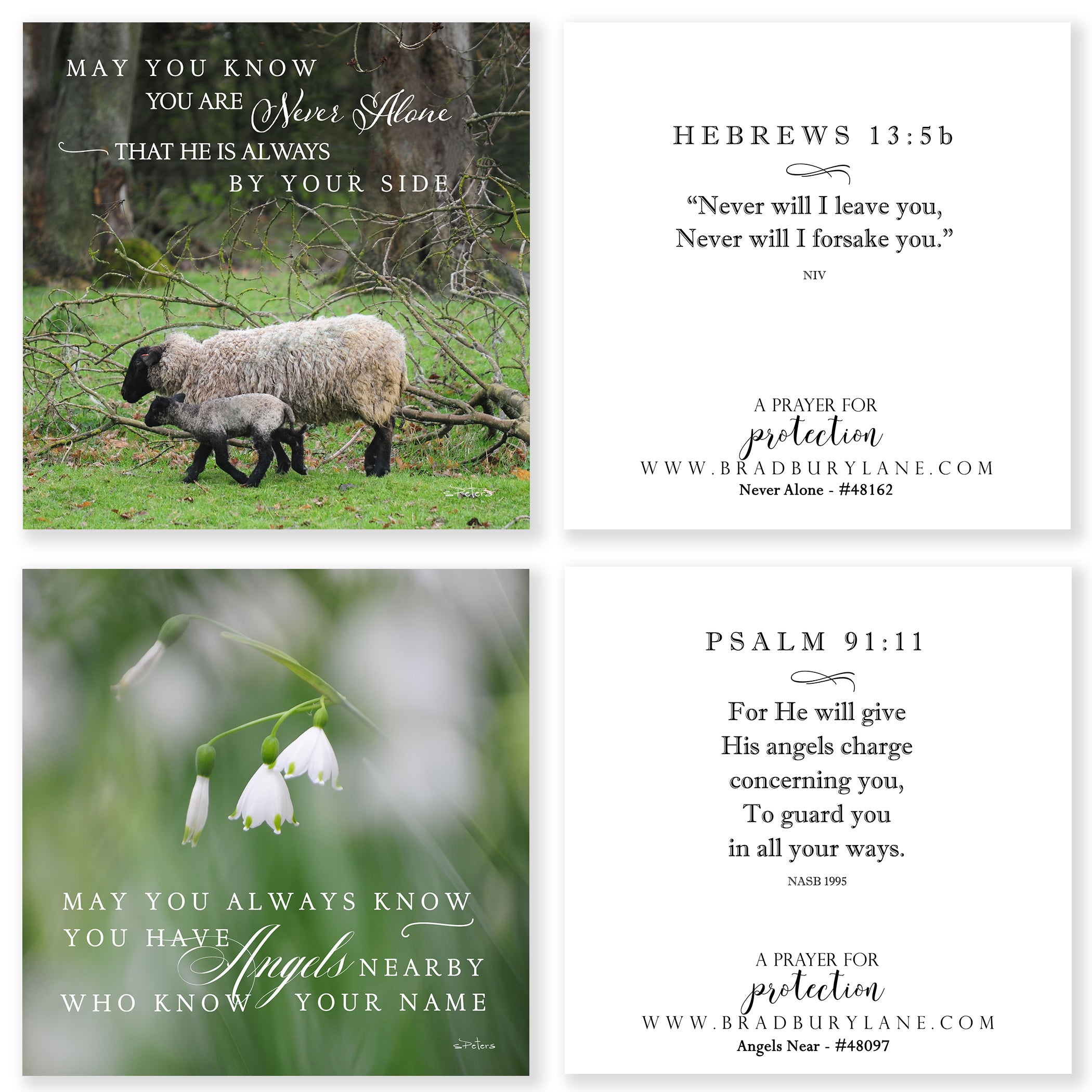 31 Days of Prayers for You Boxed Mini Print Collection w Acrylic Holder