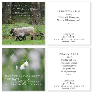 31 Days of Prayers for You Boxed Mini Print Collection w Acrylic Holder