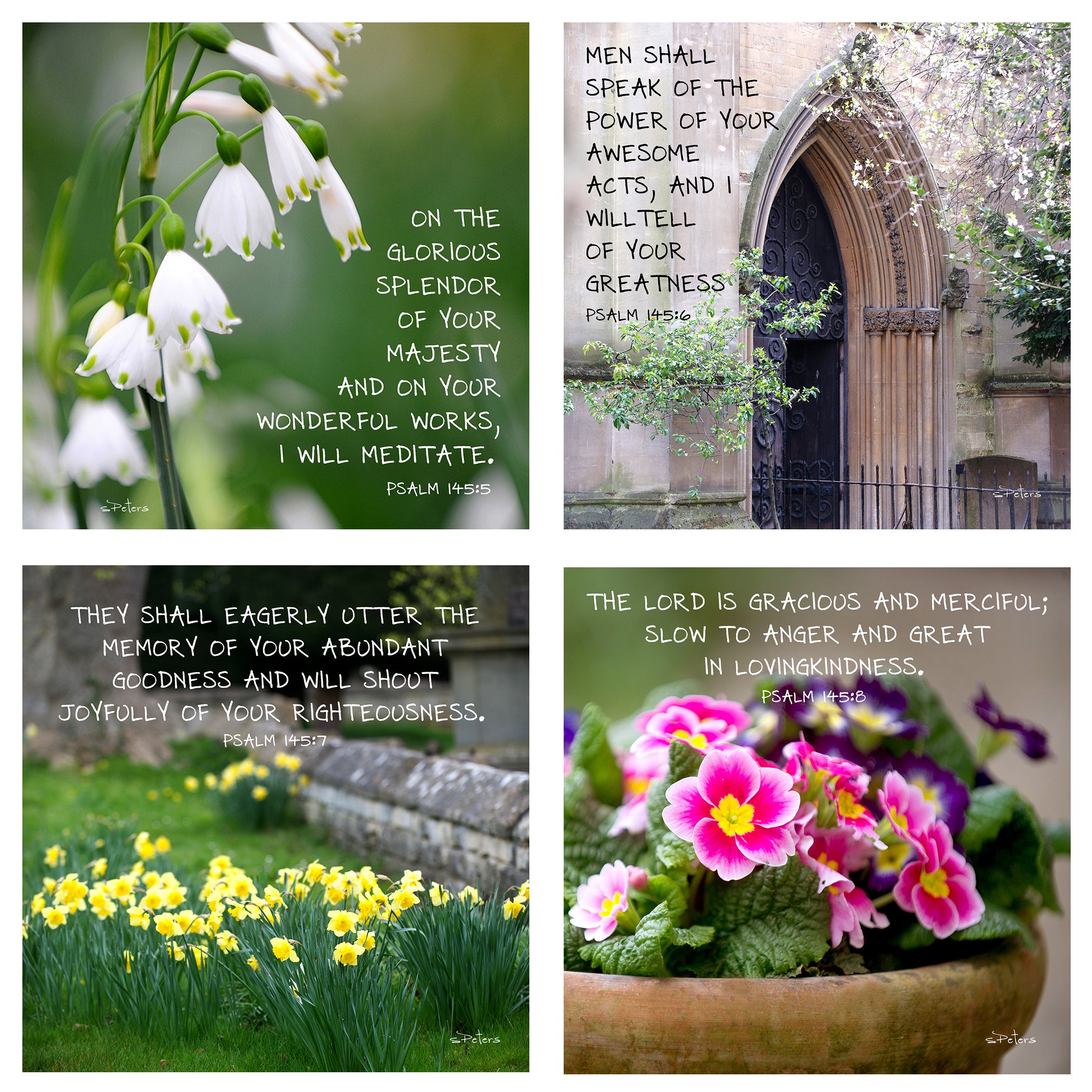 Psalm 145 - A Psalm of Worship and Praise Boxed Mini Print Collection w Holder