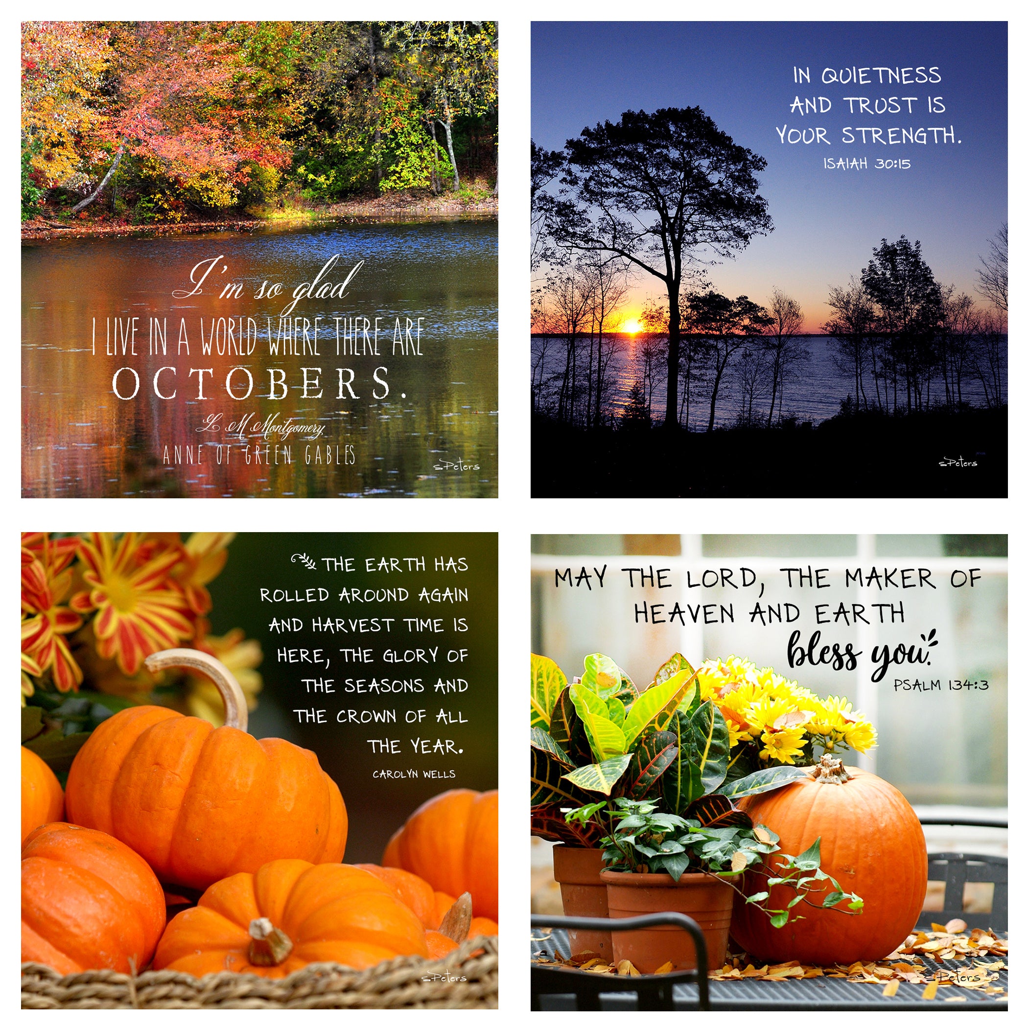 31 Days in October Boxed Mini Print Collection w Acrylic Holder