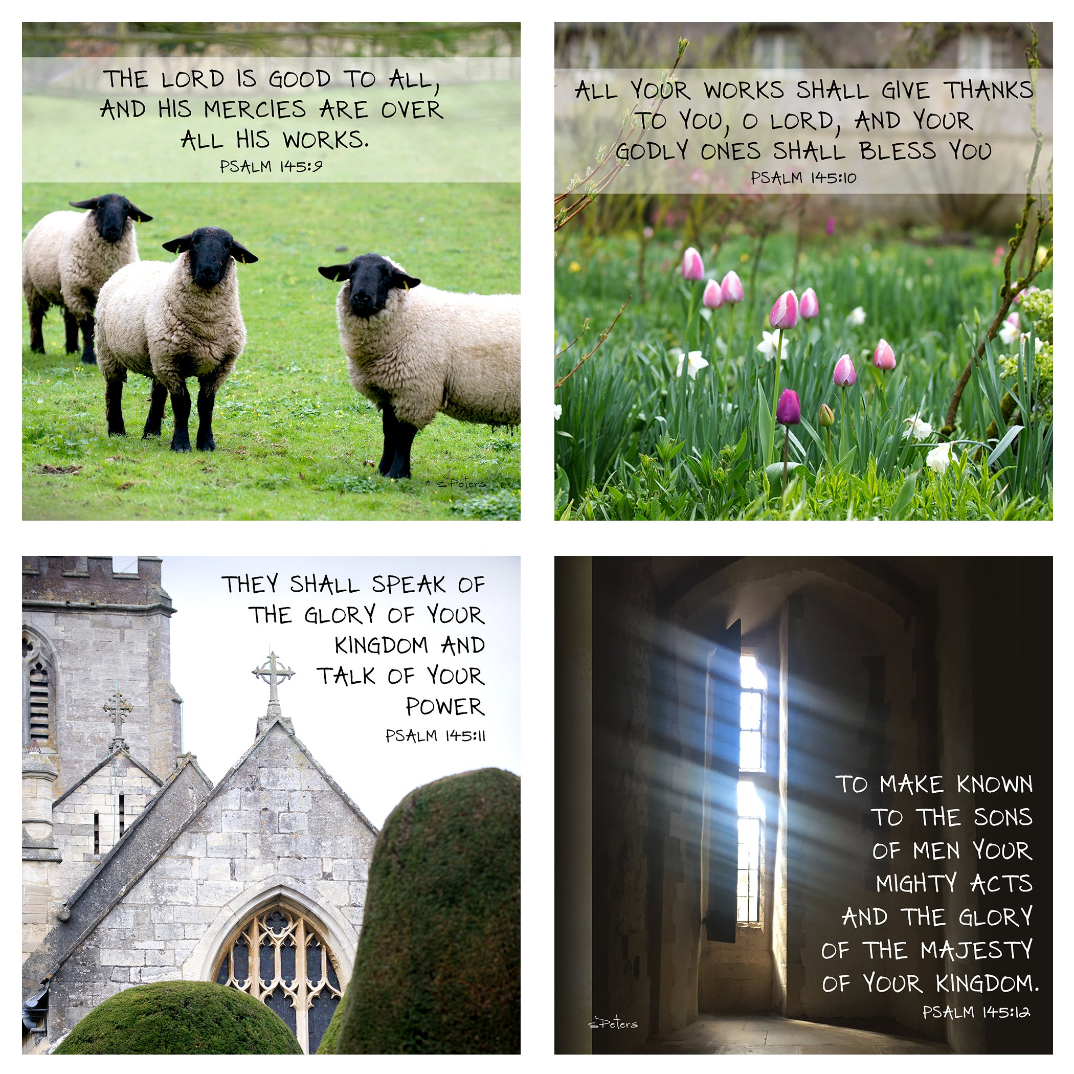 Psalm 145 - A Psalm of Worship and Praise Boxed Mini Print Collection w Holder