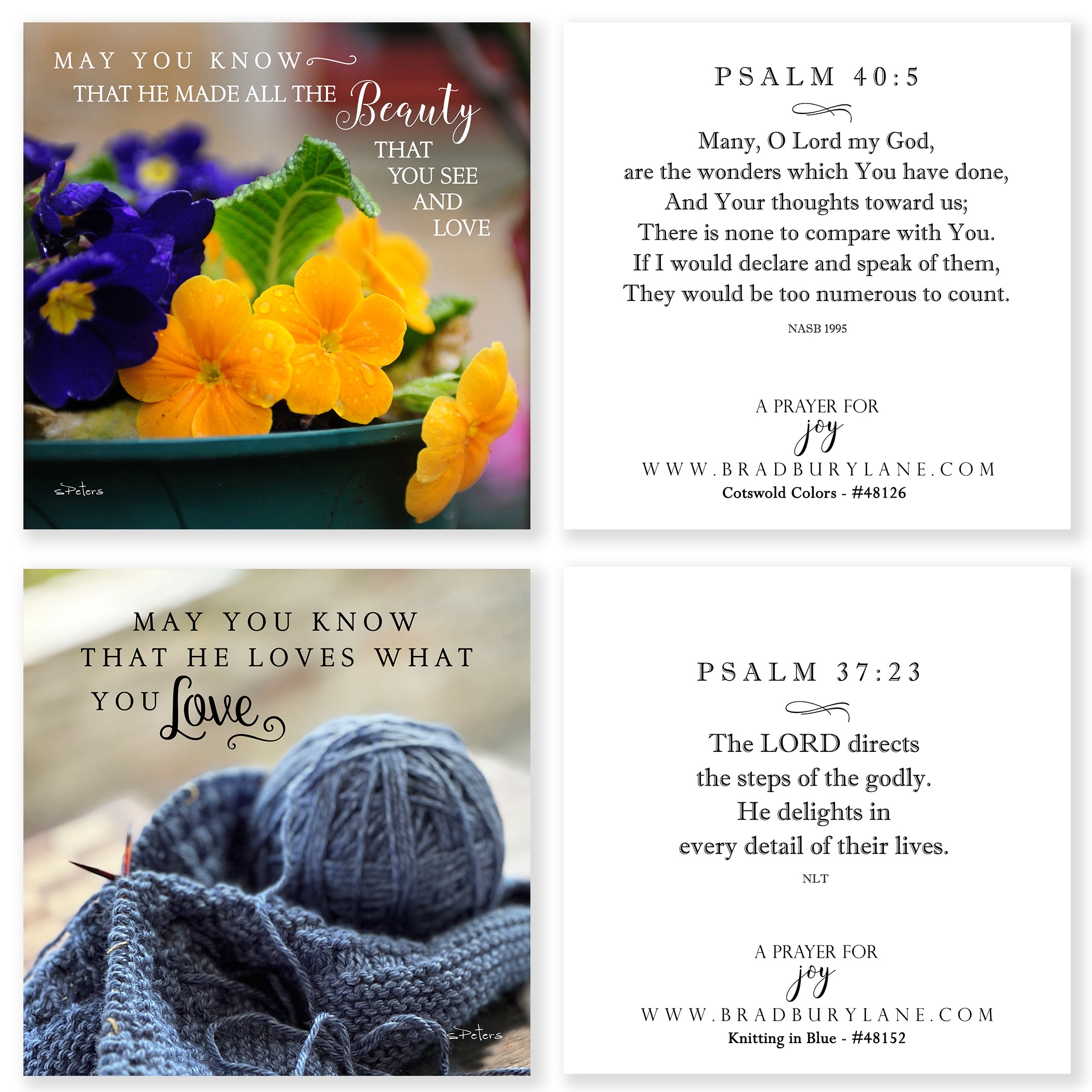 31 Days of Prayers for You Boxed Mini Print Collection w Acrylic Holder