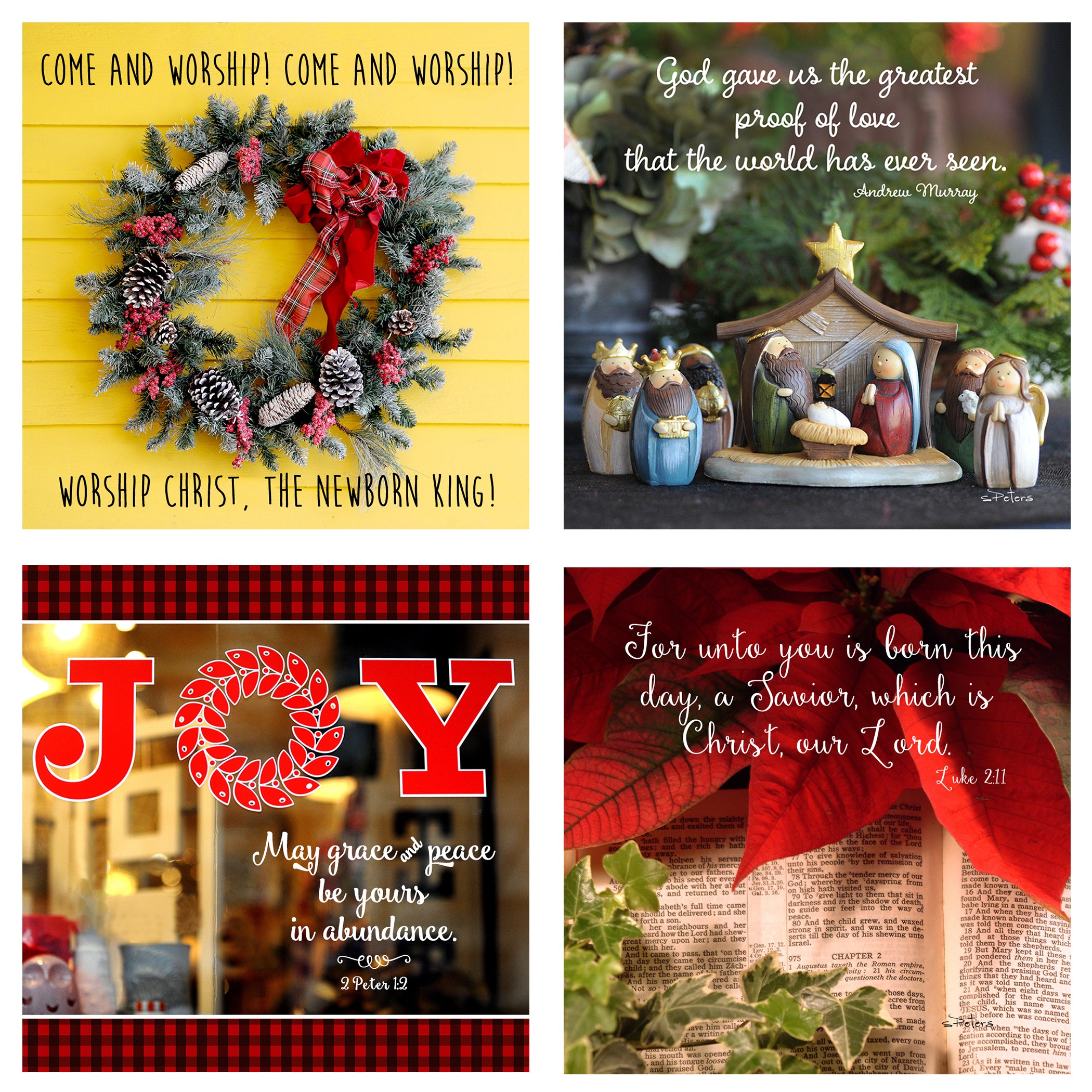 25 Days 'til Christmas Boxed Mini Print Collection w Acrylic Holder