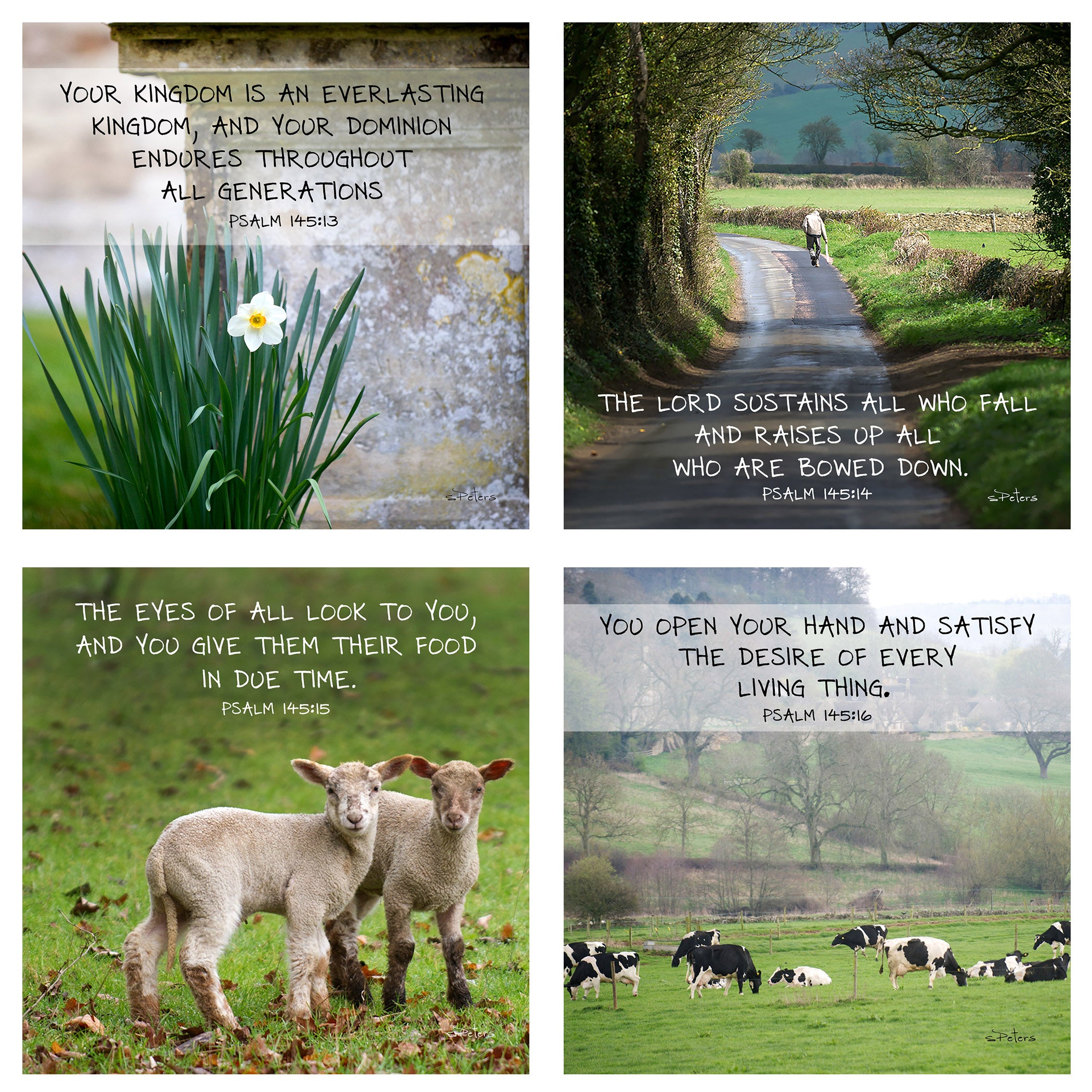 Psalm 145 - A Psalm of Worship and Praise Boxed Mini Print Collection w Holder