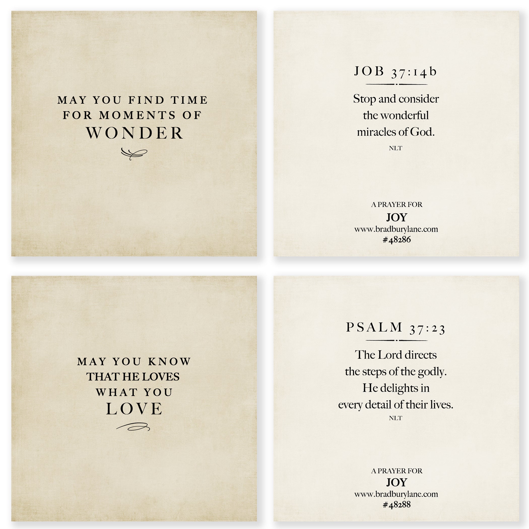 31 Days of Prayers for You Boxed Mini Print Collection at the Lake w/ Acrylic Holder