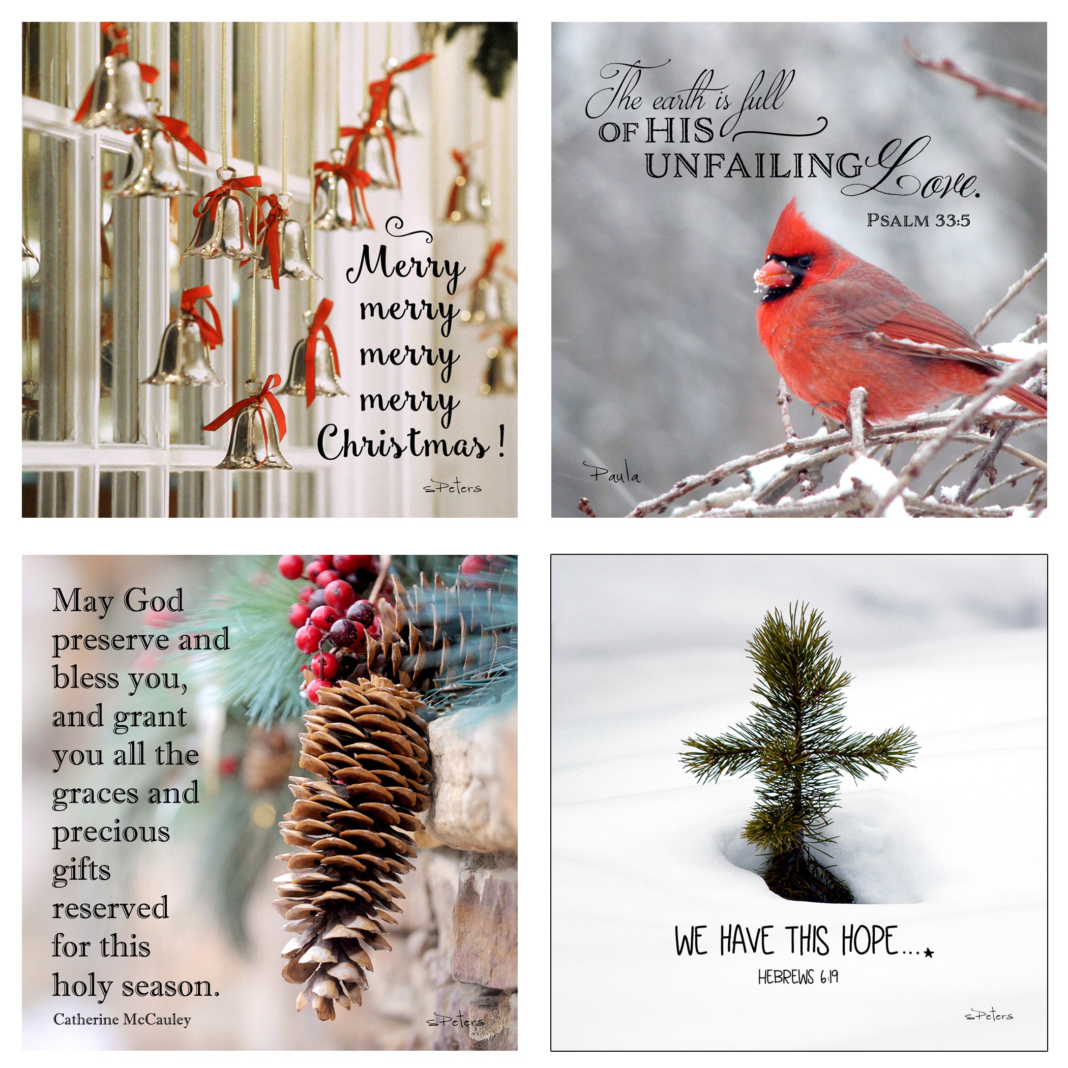 25 Days 'til Christmas Boxed Mini Print Collection w Acrylic Holder