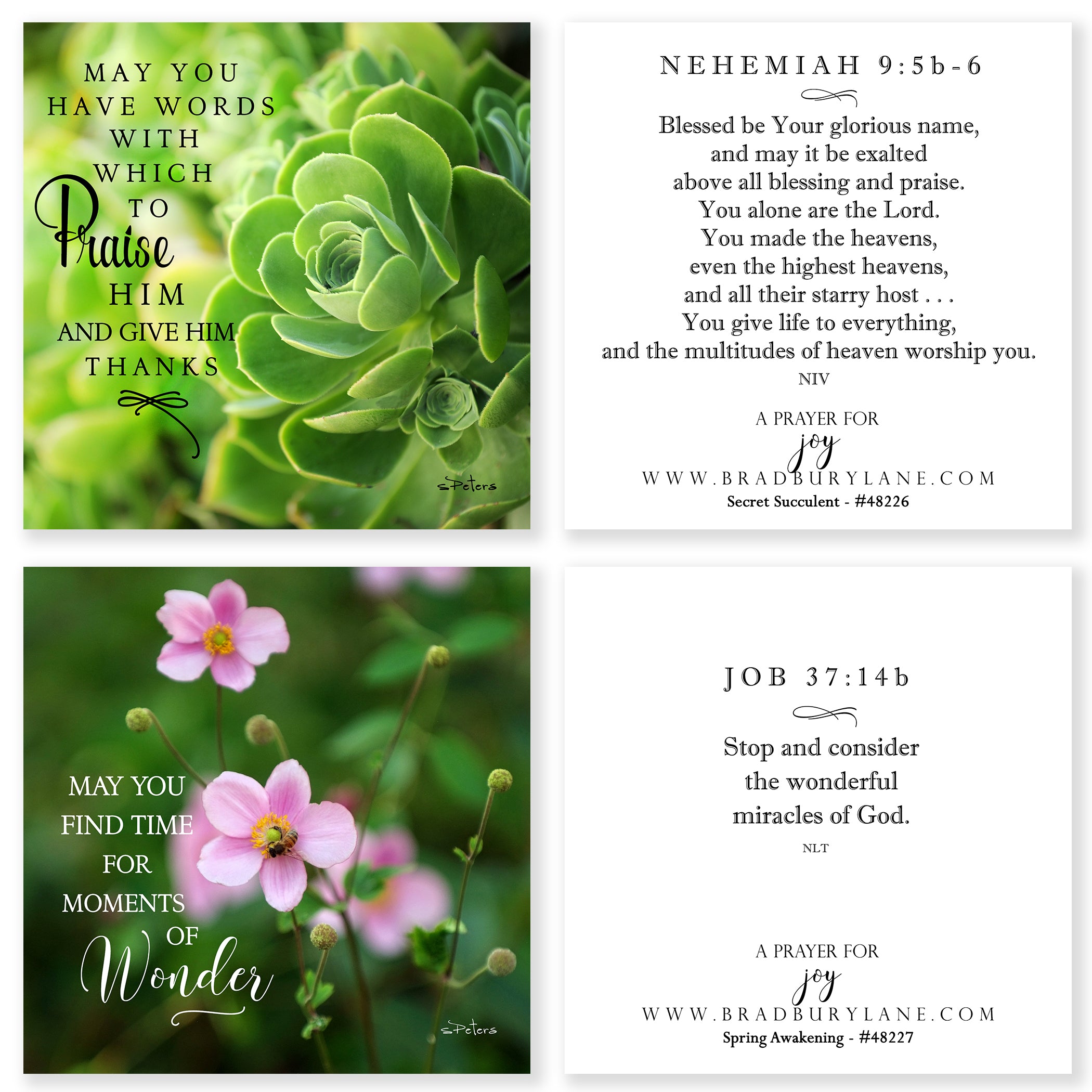 31 Days of Prayers for You Boxed Mini Print Collection w Acrylic Holder
