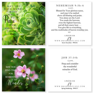 31 Days of Prayers for You Boxed Mini Print Collection w Acrylic Holder