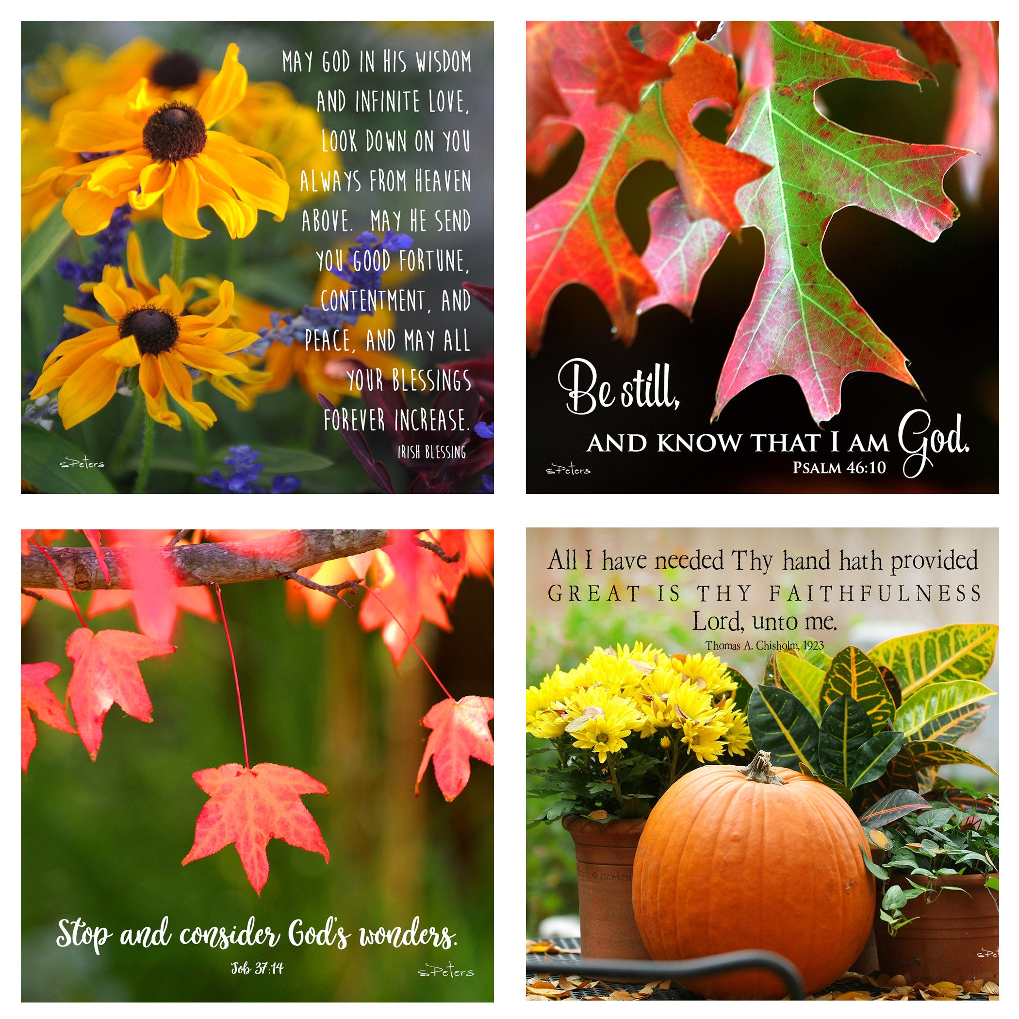 31 Days in October Boxed Mini Print Collection w Acrylic Holder