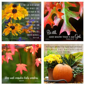 31 Days in October Boxed Mini Print Collection w Acrylic Holder