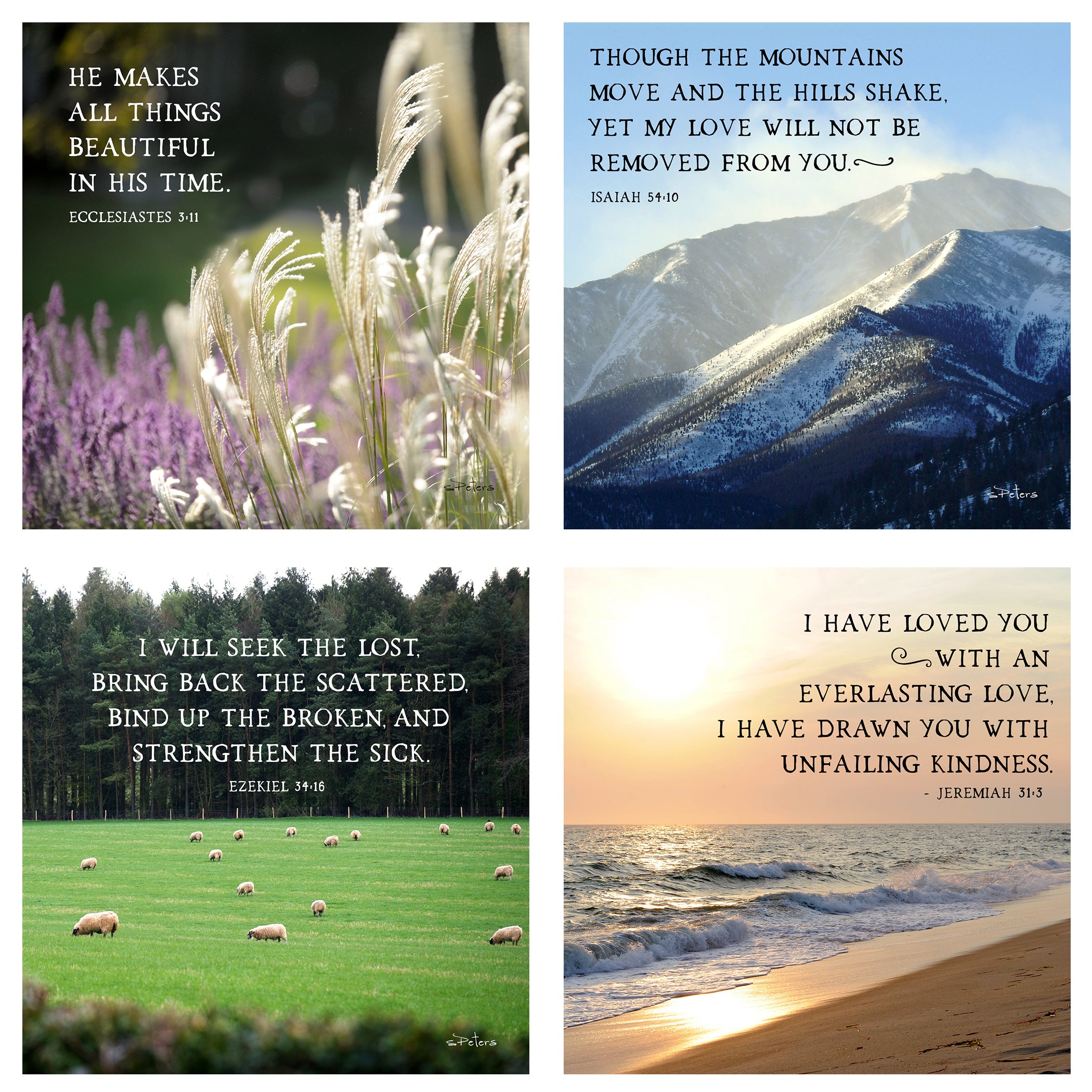 31 Days of Promises Boxed Mini Print Collection w Acrylic Holder