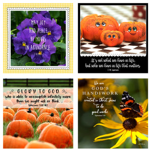 31 Days in October Boxed Mini Print Collection w Acrylic Holder