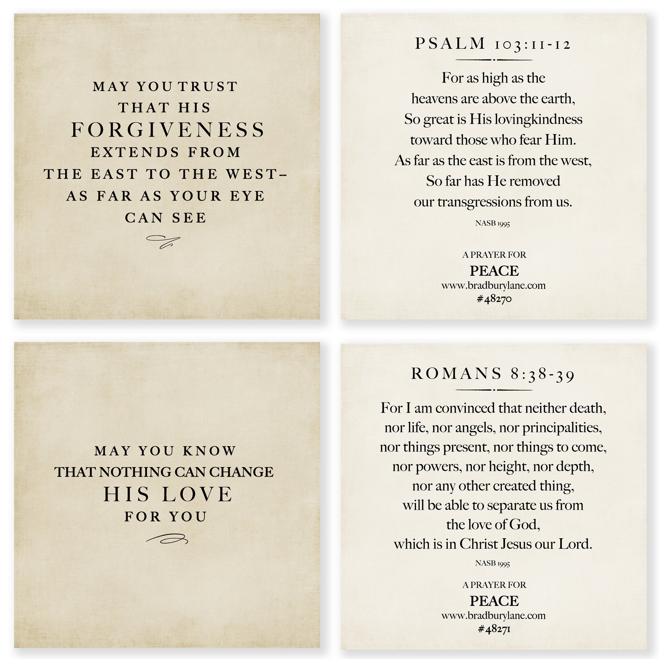 31 Days of Prayers for You Boxed Mini Print Collection at the Lake w/ Acrylic Holder