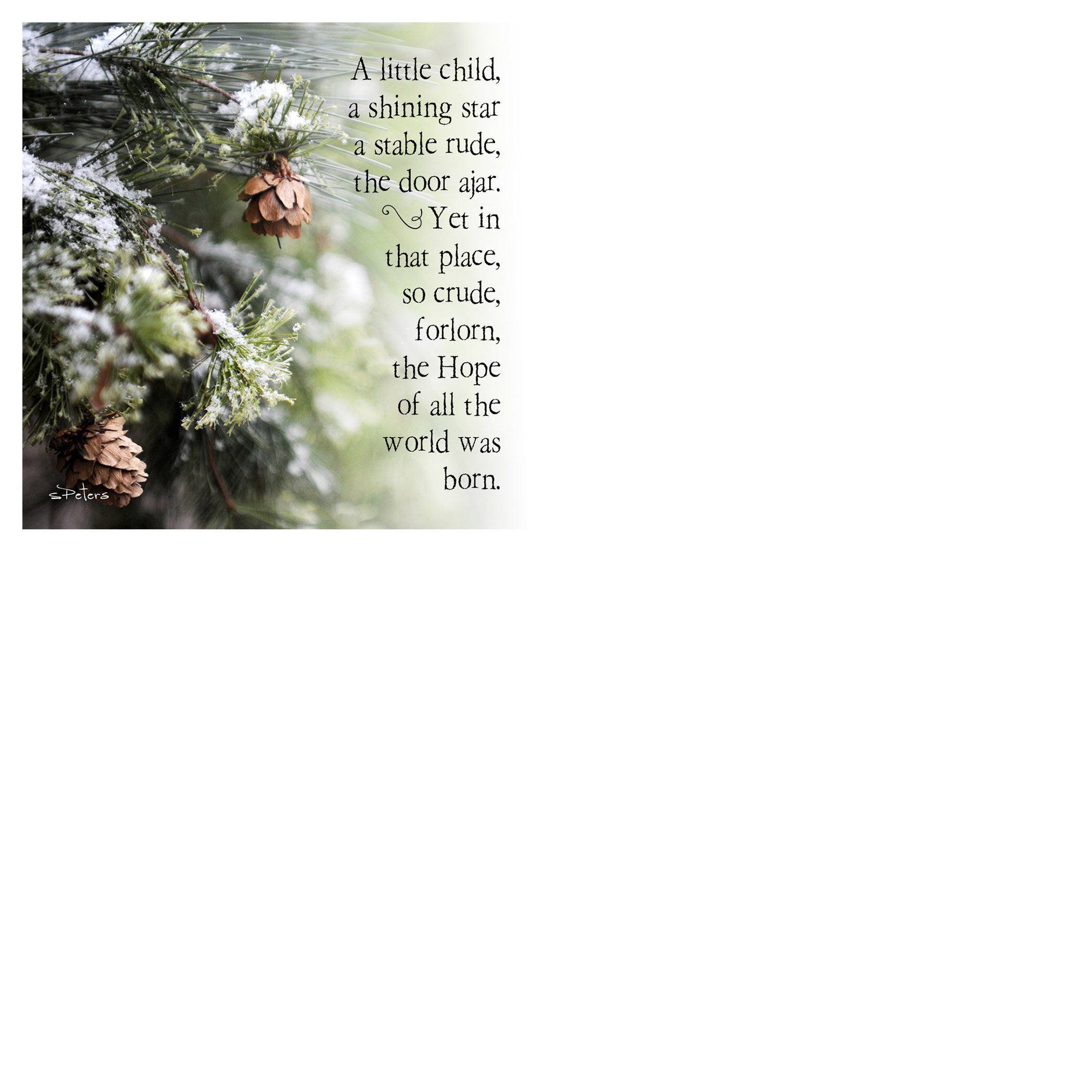25 Days 'til Christmas Boxed Mini Print Collection w Acrylic Holder