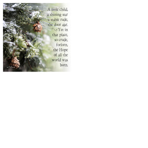 25 Days 'til Christmas Boxed Mini Print Collection w Acrylic Holder
