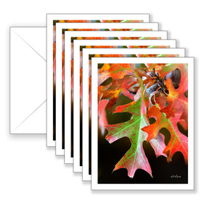 Oak Leaf in Autumn Boxed Set