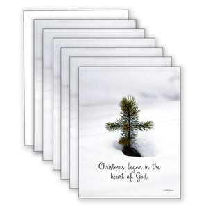 Pine Cross Christmas Card Boxed Set