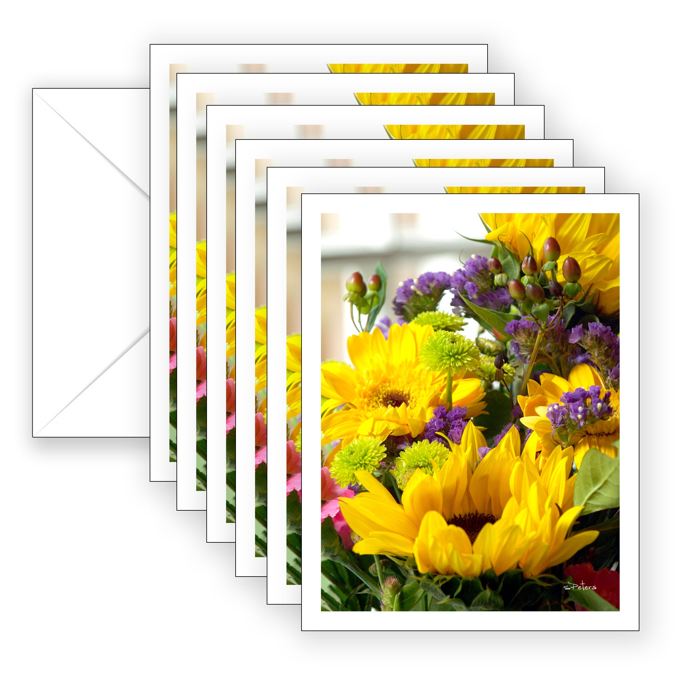 Sunflower Symphony Boxed Set