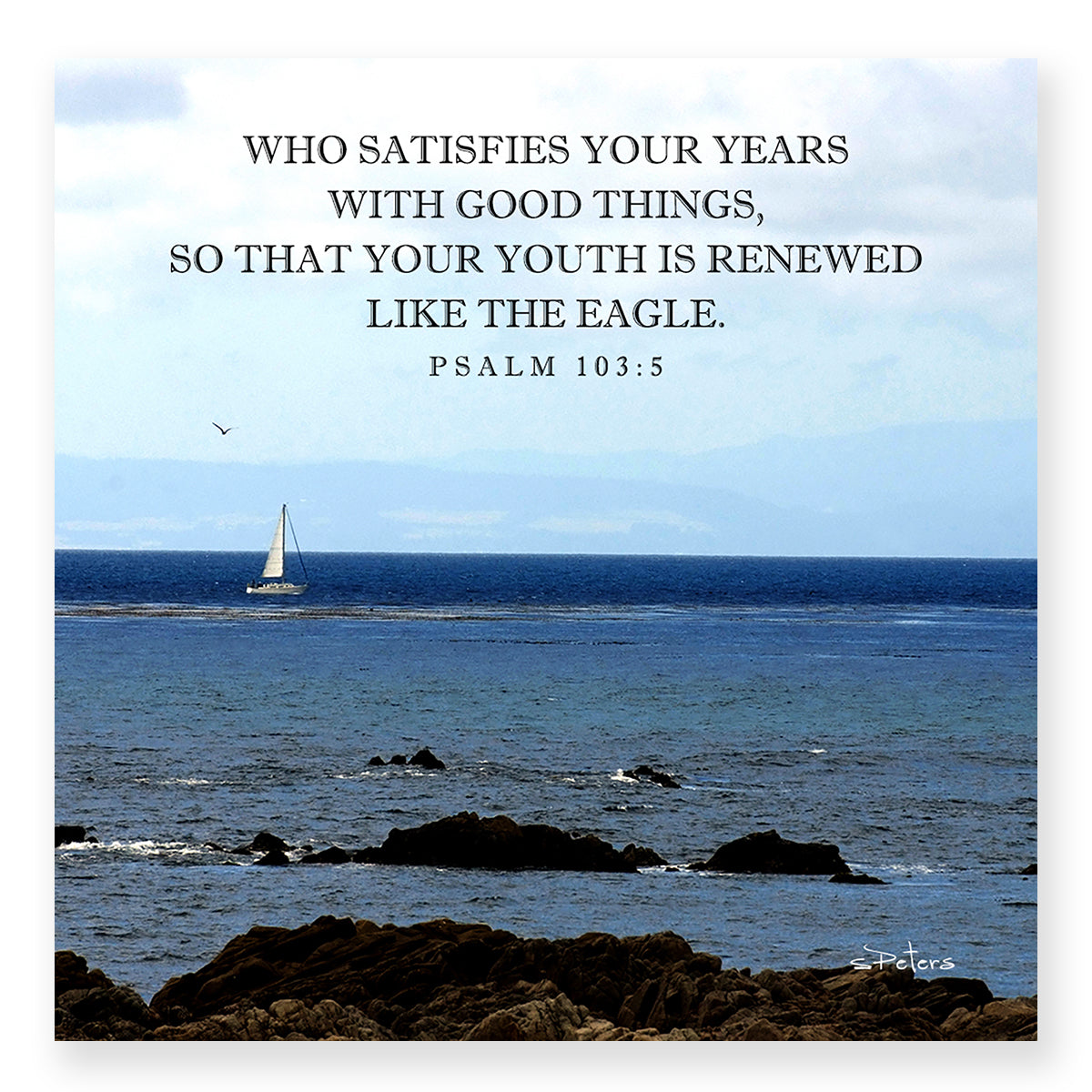 Psalm 103:05 - Afternoon Sail - Mini Print