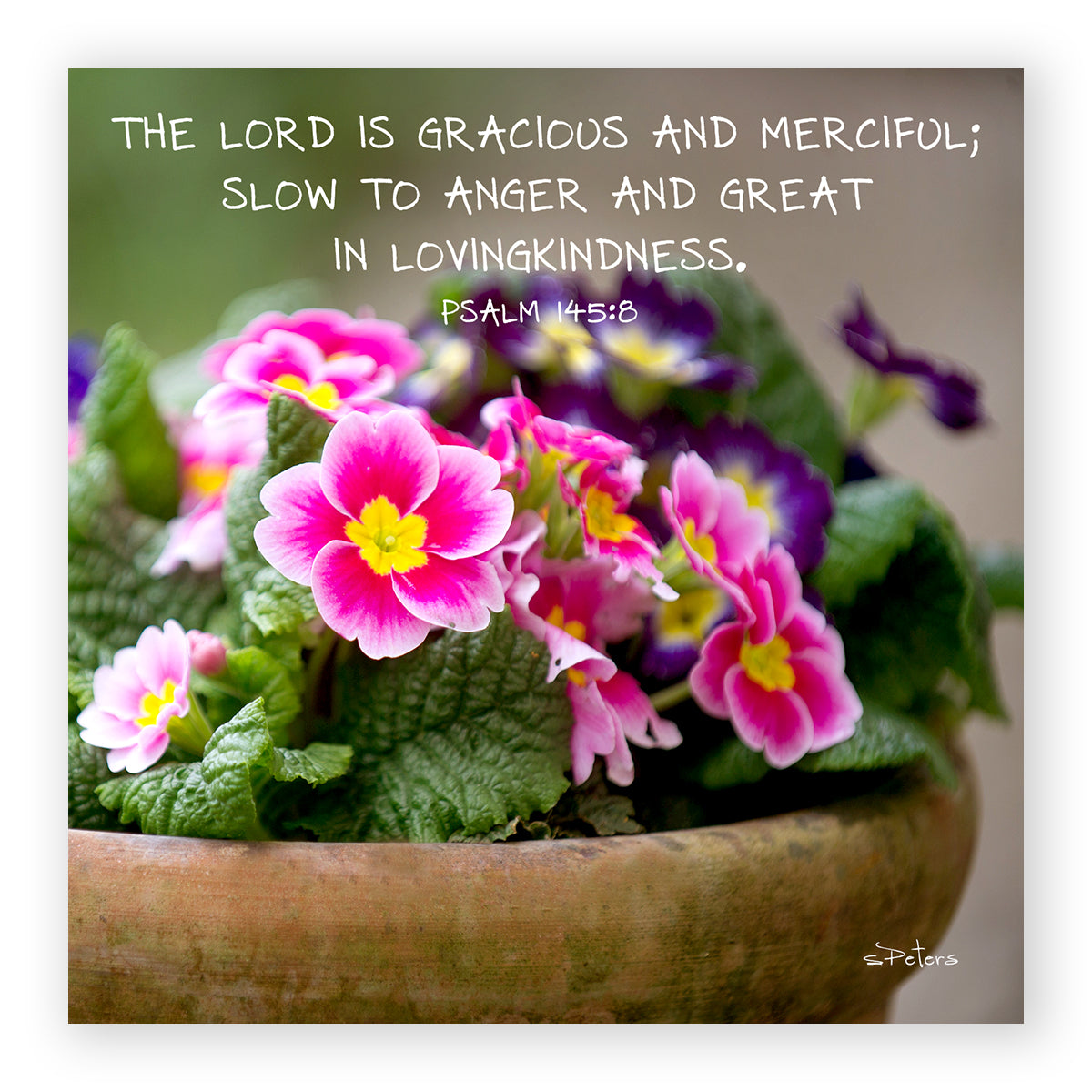 Psalm 145:08 - Primrose Pot - Mini Print