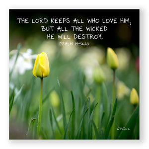 Psalm 145:20 - Golden Surprise - Mini Print