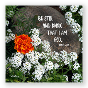 Alyssum Garden (Psalm 46:10) - Mini Print