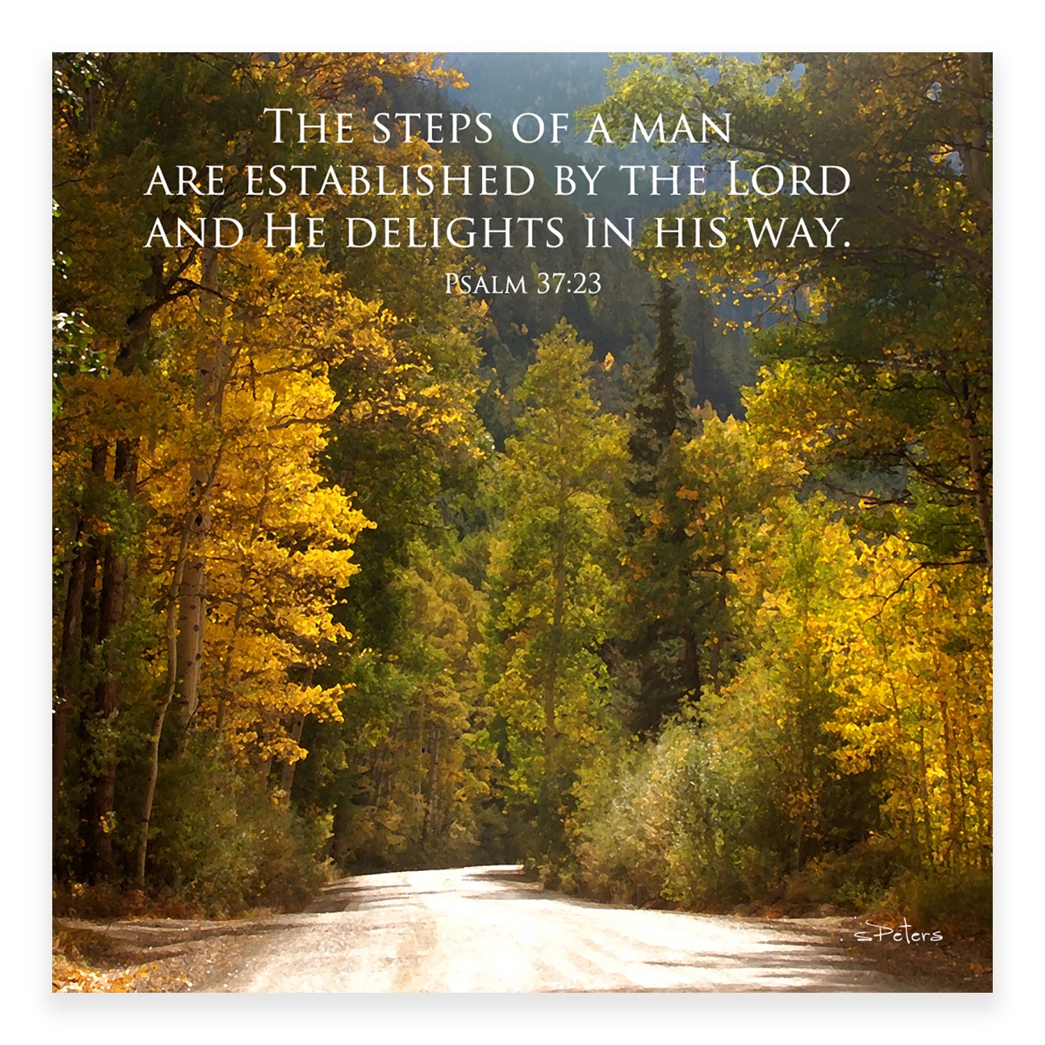 Autumn Afternoon (Psalm 37:23) - Mini Print