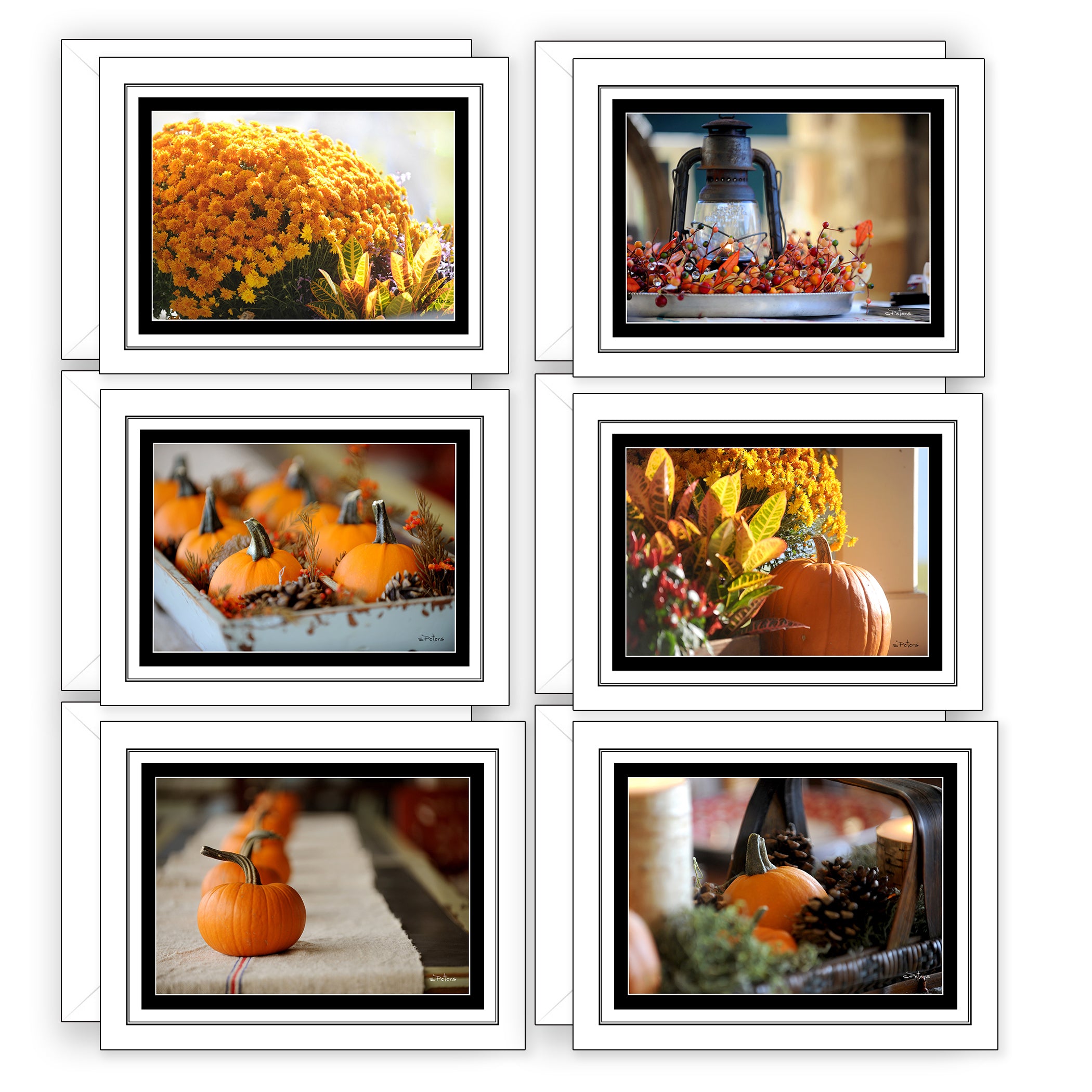 Autumn At Home Boxed Notecard Collection