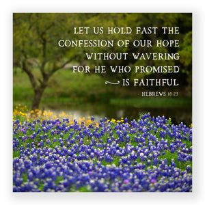 Bluebonnet Byway (Hebrews 10:23) - Mini Print